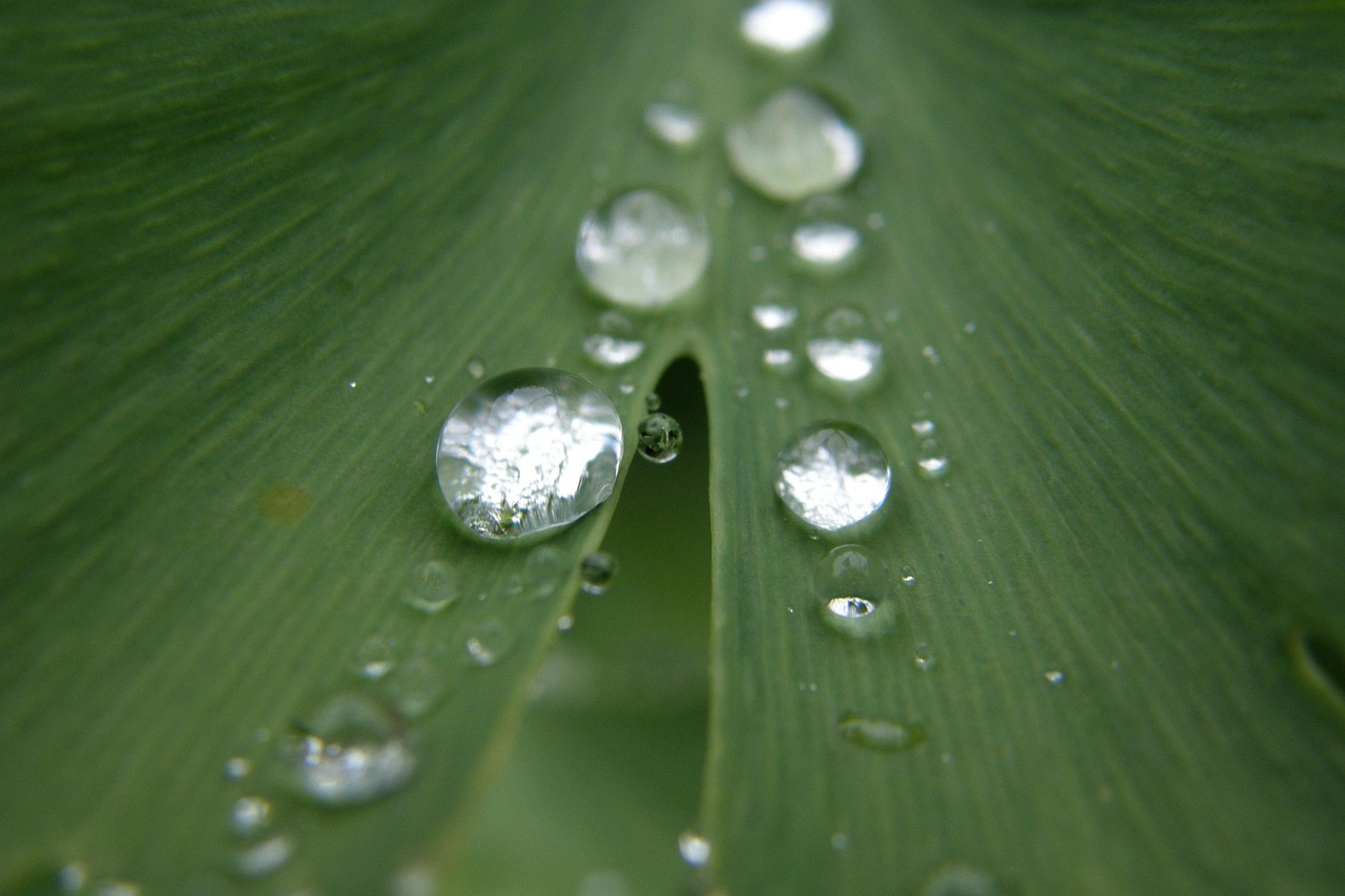 Diagnose durch Tränenflüssigkeit